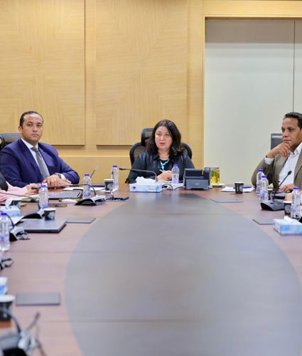نائبة وزيرة التضامن الاجتماعي تستعرض إنجازات تشغيل 47 مركزًا لتنمية الأسرة والطفولة بقرى "حياة كريمة".. وتناقش استعدادات العام الثالث