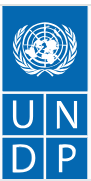  UNDP
