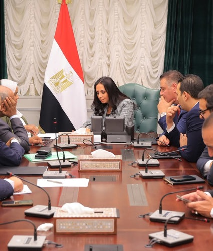 وزيرة التضامن الاجتماعي تلتقي عددًا من أعضاء مجلس النواب .. وتوجه بسرعة بحث وحل مشكلاتهم